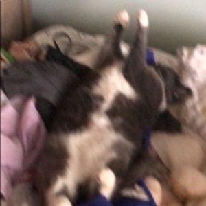 Meet your Posher, Agnes